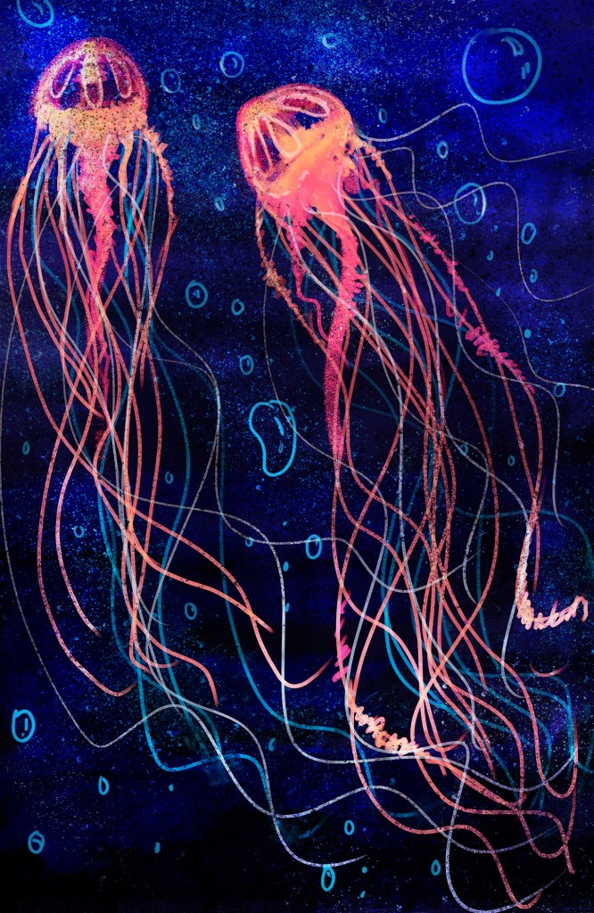jellyfish21